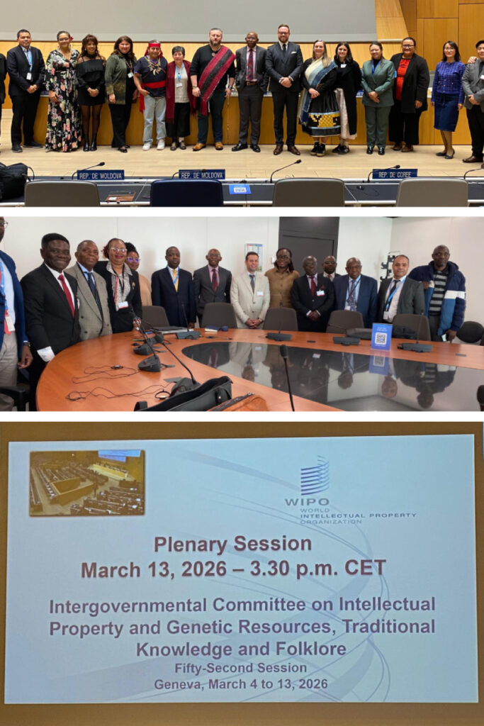 Intergovernmental Committee on Intellectual Property and Genetic Resources, Traditional Knowledge and Folklore